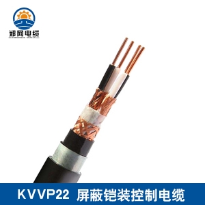 KVVP22屏蔽鎧裝控制電纜